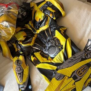 Bumblebee costume worn once